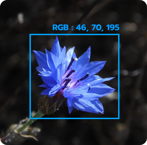 Color Detection