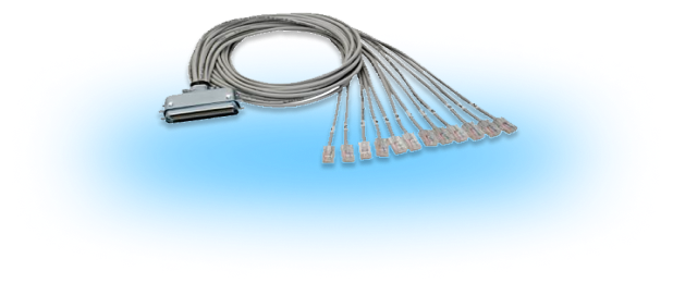 Network Cable